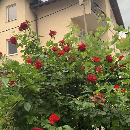 公寓 Saray House 塞拉耶佛