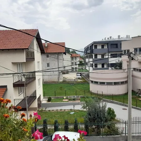 Saray House