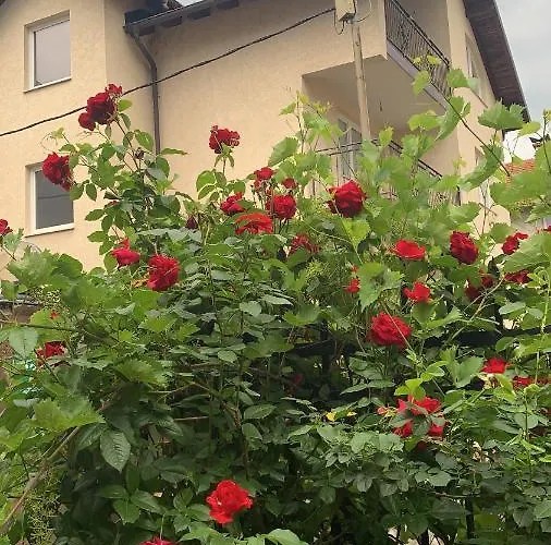 公寓 Saray House 塞拉耶佛